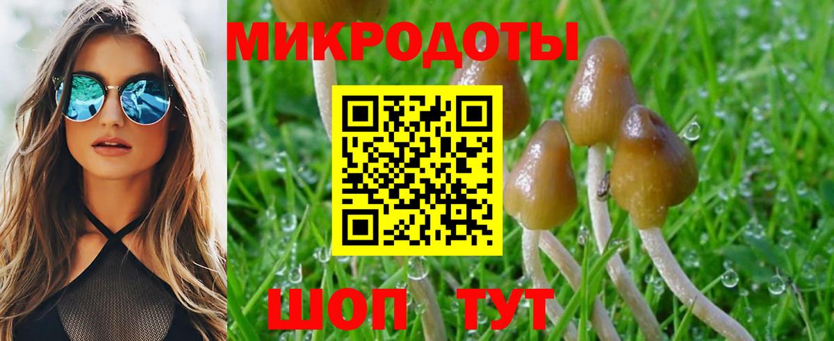 Галлюциногенные грибы Psilocybine cubensis  Вход с VPN  Псилоцибиновые грибы мухоморы  Владивосток 